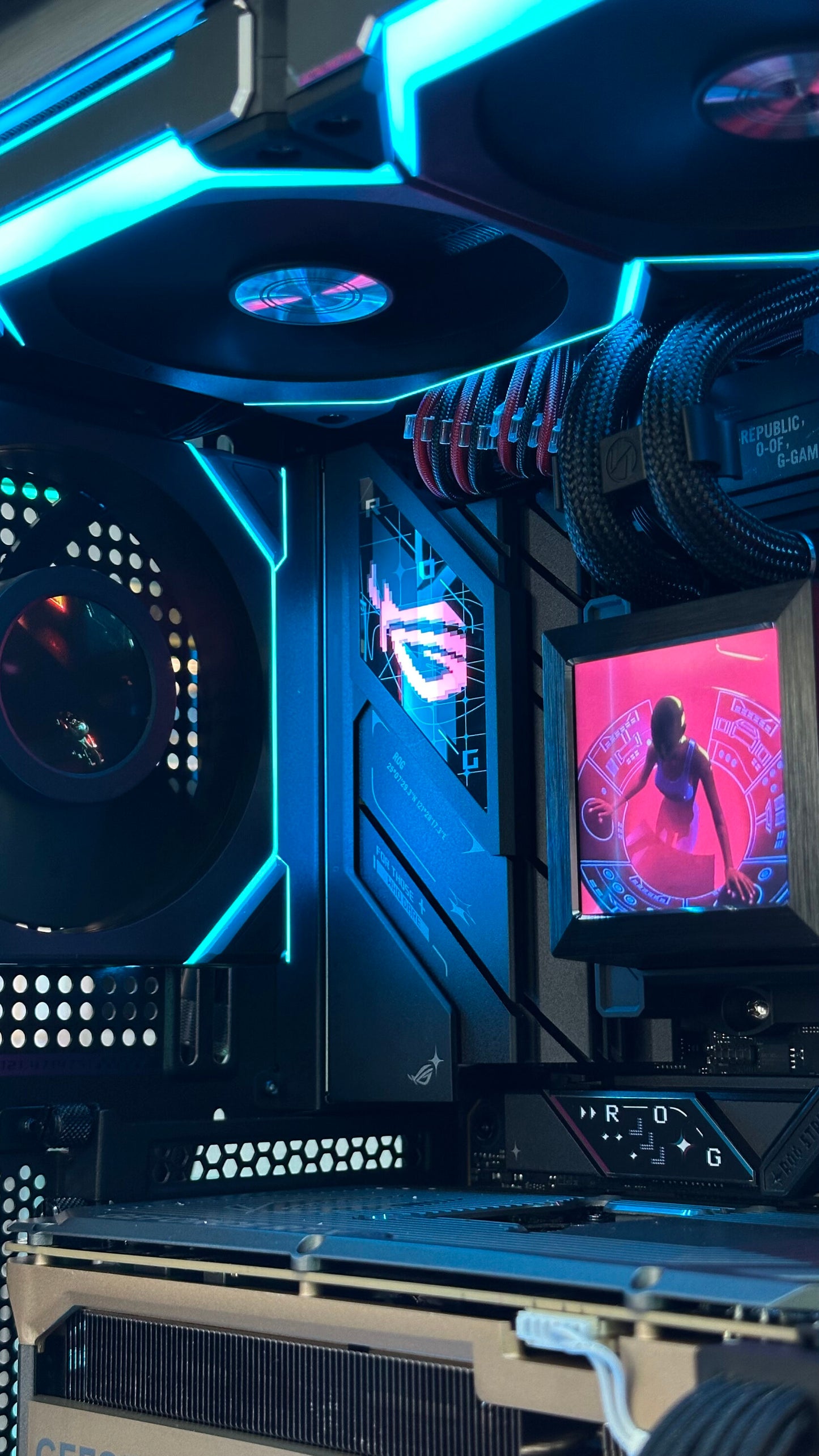 NEON PUNK X COUGAR X ROG (SOLD OUT)