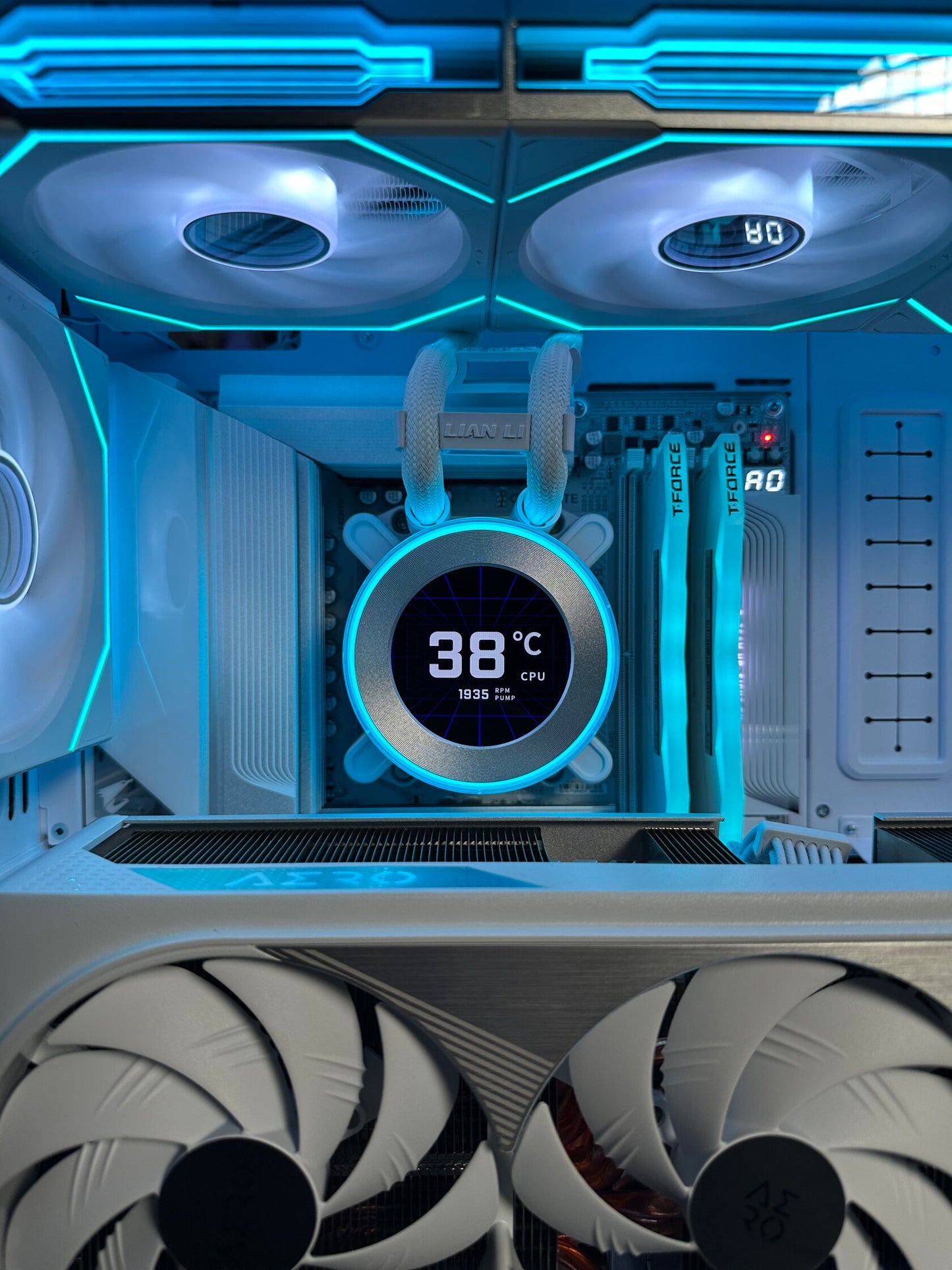 ARCTIC PULSE