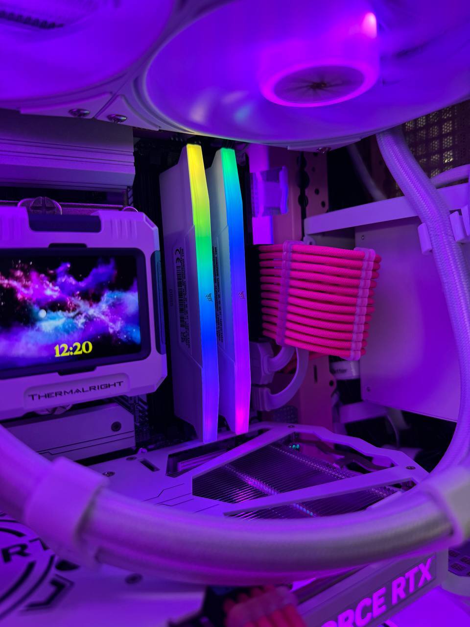 SAKURA-STORM CORE (SOLD OUT)