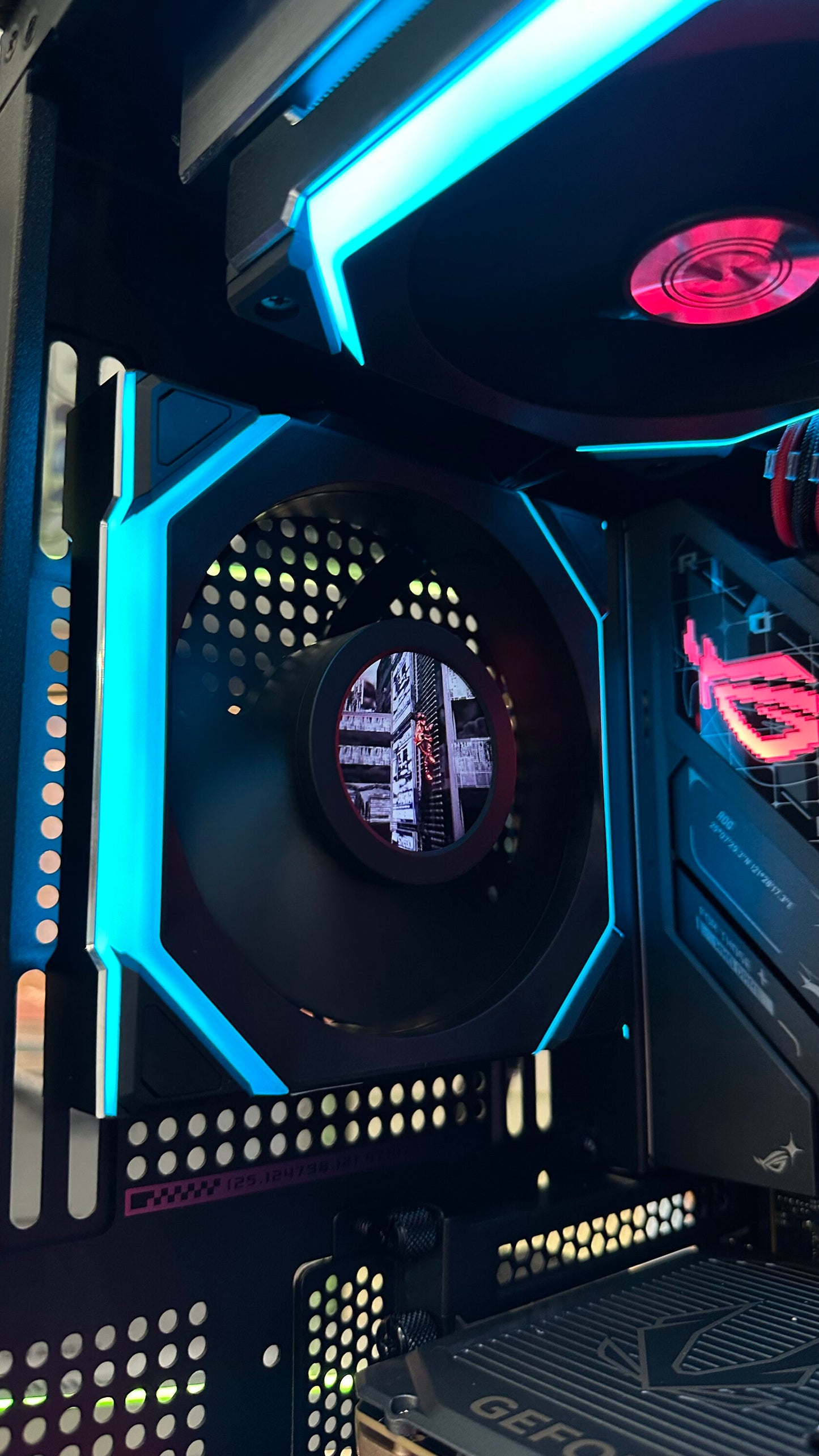 NEON PUNK X COUGAR X ROG (SOLD OUT)