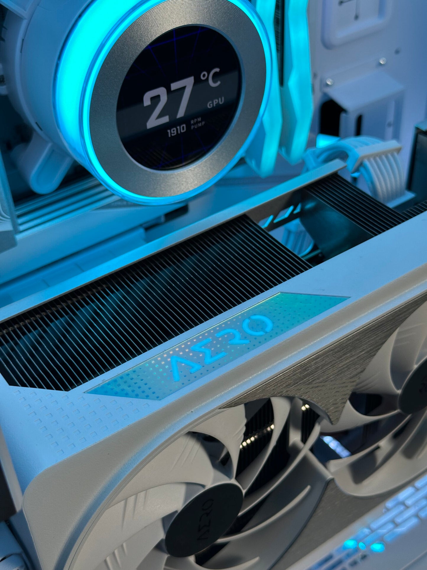 ARCTIC PULSE
